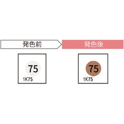 サーモカラーセンサー（20枚入り） 1K75-JP