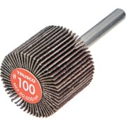 EF3025-100 [エコノミーフラップホイール 軸径6mm 外径30X幅25X軸長35 #100（5個入）]