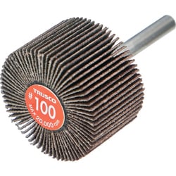 EF4025-100 [エコノミーフラップホイール 軸径6mm 外径40X幅25X軸長35 #100（5個入）]