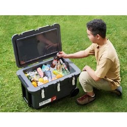 ヨドバシ.com - アイリスオーヤマ IRIS OHYAMA VITC-60 [真空