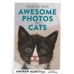 【バーゲンブック】HOW TO TAKE AWESOME PHOTOS OF CATS [単行本]