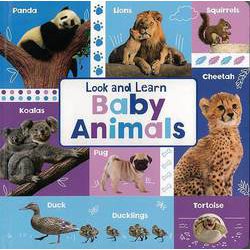 【バーゲンブック】Look and Learn Baby Animals [単行本]