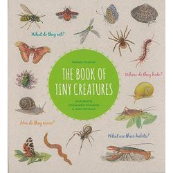 【バーゲンブック】THE BOOK OF TINY CREATURES [単行本]
