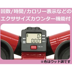 ナイスデイ　状態良　付属品有 ショップジャパン ステッパーナイスデイ コンパクト レッド