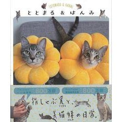 【バーゲンブック】ととまる＆はんみ [単行本]
