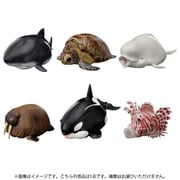動物の惑星 まんまるスマイル 海洋シリーズ1 1個 [コレクショントイ]