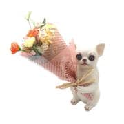 CT触媒 ミニョンブーケ チワワシロ ctbouquet