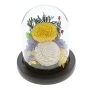 ガラスドームアレンジメントL 柚希 glassdomel