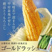 最盛期 とうもろこし ゴールドラッシュ 山梨県産 JAふえふき 2Lサイズ 2.5kg以上（6本入り）※冷蔵 [ご注文期間は2024年6月27日（木）まで]