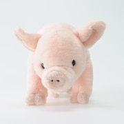 SM055 ぬいぐるみ 100+1 ブタ S [キャラクターグッズ]