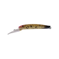 ヨドバシ.com - ディスプラウト イーグルプレーヤー50slim/GJ 01