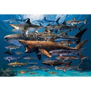 300-087 学べるジグソー 世界のサメ大きさ比べ [ジグソーパズル 300ピース]