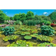 1000-919 日本風景 緑輝くみずの森（滋賀） [ジグソーパズル 1000ピース]