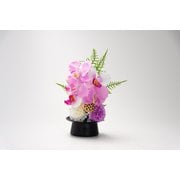 LEDライト胡蝶蘭 仏花 FLa31527