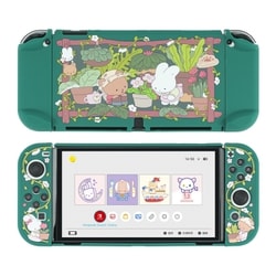G-NSOLED-HS-TH-GHF-WHBTZ [SwitchEL用 森の中のフラワーハウス 保護カバー]