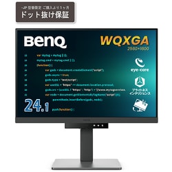 プログラミングモニター/24.1型/WQXGA（2560×1600）/16：10/IPSパネル/HDMI DP USB-C RD240Q-JP