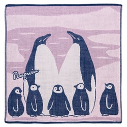 PC-035 Pocchi3重ガーゼハンカチ Penguin