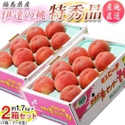 『伊達の桃』 福島県産 特秀品 約1.7kg×2箱 （1箱：7～9玉） 産地直送 ※常温 JAふくしま未来 [ご注文期間は2024年7月18日（木）まで]