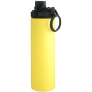 WELF(ウェルフ) SLIM BOTTLE 650ml YE