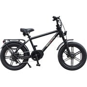 電動アシスト自転車 HAYATE ライトキャリア マットブラック 2403FRR03TB
