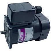 AC200V・90W レバーシブルモーター(端子箱付タイプ) EA968CM-90