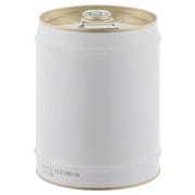 EA991AG-23 [20L ペール缶（クローズタイプ/UN規格適合）]