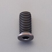 EA949JJ-310 [M3x10 六角穴付ボルト（超低頭/小径/生地/2本]