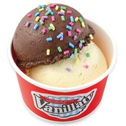 55467 [食品サンプルをつくろう！ダブルカップアイス]