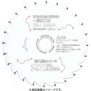 BTS-DAM-100-22 [チップソー]