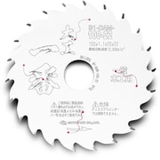 B1-DAM-100-22 [チップソー]
