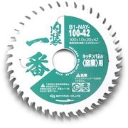 B1-NAY-100-42 [チップソー]