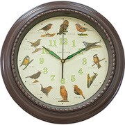 野鳥の電波時計