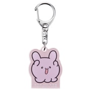 らぶいーず アクリルキーホルダー ぴょんちー [キャラクターグッズ]
