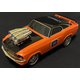 RC WILD BAD MAX OR