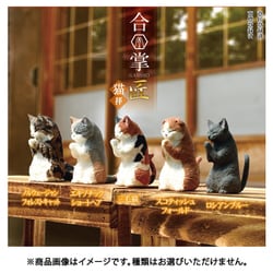 がっしょうねこ