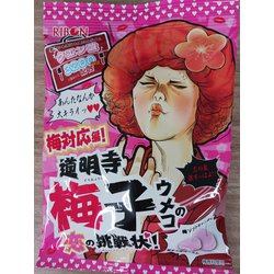 道明寺梅子の恋の挑戦状 60g