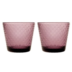 ツンドラ タンブラー グラス コップ 290ml ペアセット （2個入り） カルーナ 国内正規品 1070605