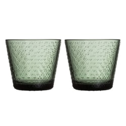 ツンドラ タンブラー グラス コップ 290ml ペアセット （2個入り） パイングリーン 国内正規品 1070607