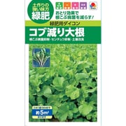 BTY504 [緑肥用大根 コブ減り大根]