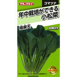 年中栽培ができる小松菜 極楽天 ATU076