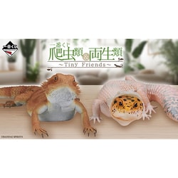 一番くじ 爬虫類＆両生類～Tiny Friends～ [キャラクターくじ]