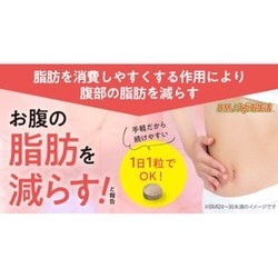 ヨドバシ.com - ディーエムジェイ ブラックジンジャー代謝粒