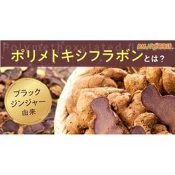 ヨドバシ.com - ディーエムジェイ ブラックジンジャー代謝粒