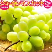 『シャインマスカット』 山梨県産 2房 計約800g 簡易箱 ※冷蔵 [ご注文期間は2024年9月19日（木）まで]
