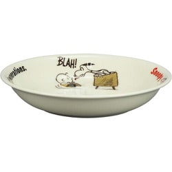 PEANUTS （ピーナッツ） パスタ皿 カレー皿 プレート 約22cm ピーナッツフレンズ1960 テレビ SN851-355