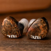 DUNU×GIZAUDIO 2DD+4BAドライバー ハイブリッド IEM DaVinci
