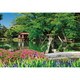 300-096 日本風景 新緑の兼六園 [ジグソーパズル 300ピース]