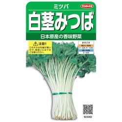 白茎みつば 1袋 923082