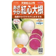 925250 [あざやか紅心大根 天安紅心2号 1袋]