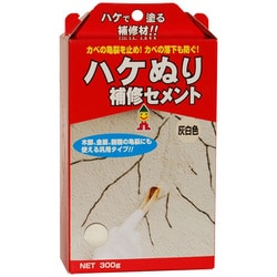 MHS-01 [ハケぬり補修セメント 300g 灰白]